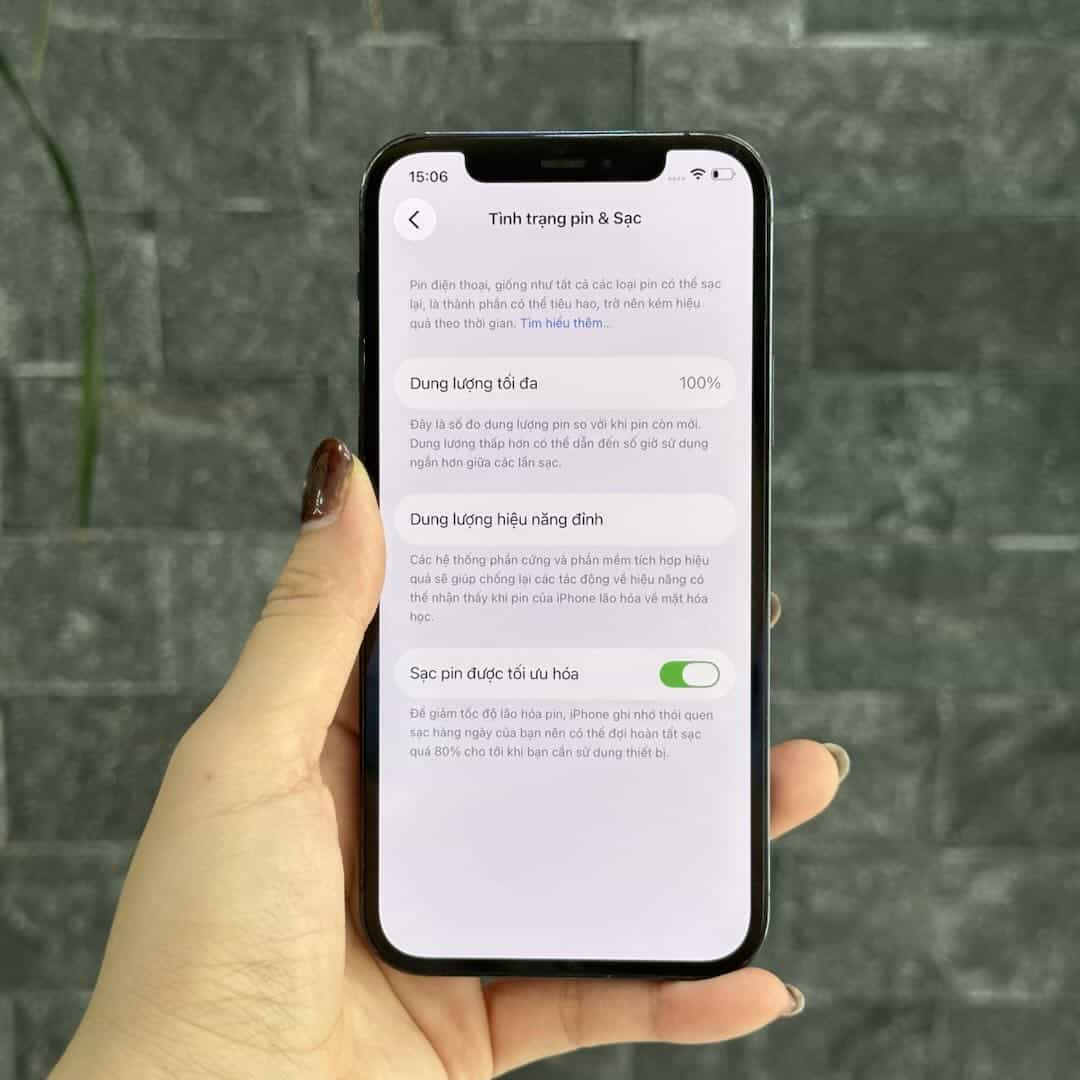 Ảnh chụp màn hình Tình trạng pin iPhone 12 Pro cũ tại 126.vn hiển thị dung lượng tối đa 100%